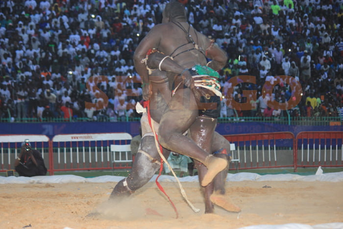 Gris 2 bat Ablaye Ndiaye (4)