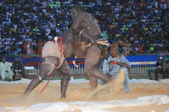 Gris 2 bat Ablaye Ndiaye (5)