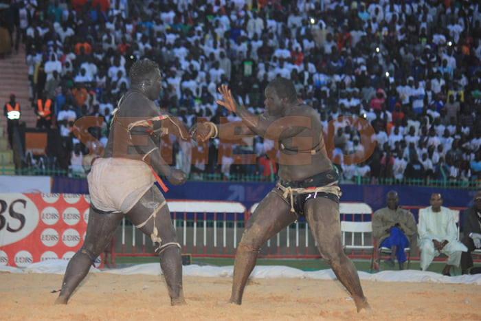 Gris 2 bat Ablaye Ndiaye (6)