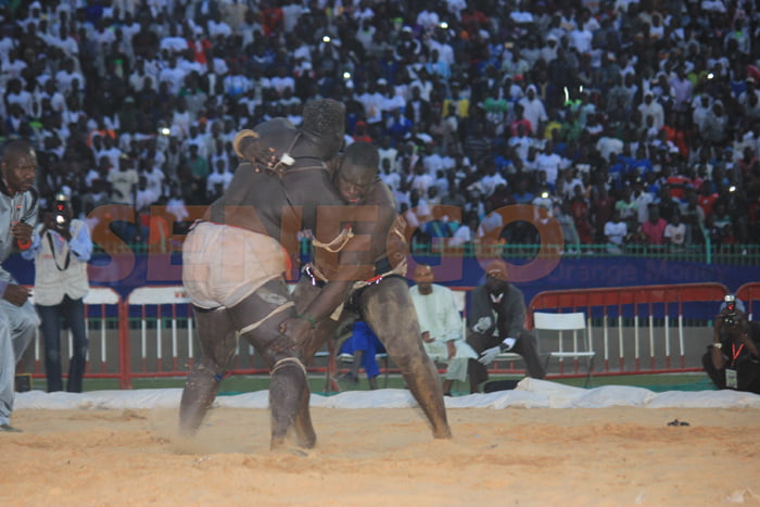 Gris 2 bat Ablaye Ndiaye (7)