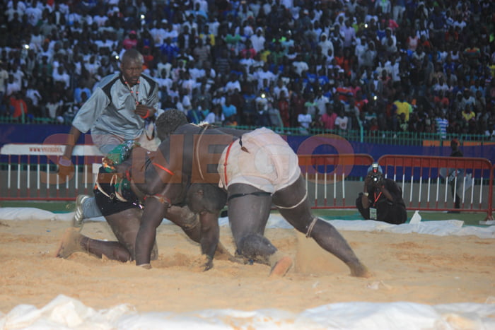 Gris 2 bat Ablaye Ndiaye (8)