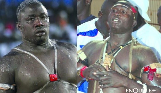 Vidéo: Le premier Face to Face Modou Lo-Gris Bordeaux, ce Vendredi au monument de la renaissance