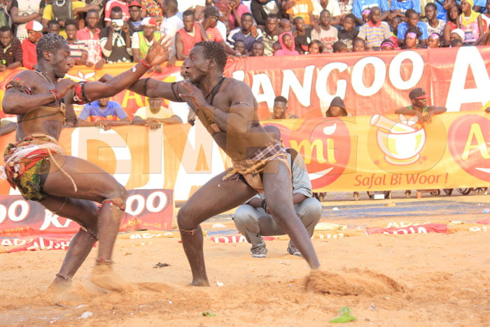 Saloum 2 bat Papa boy djiné (2)