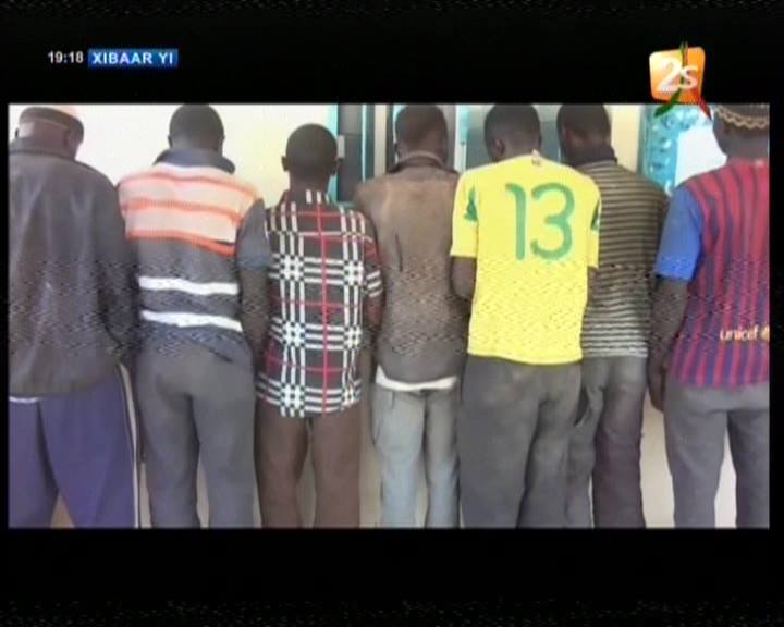Video-Arrestation de 16 braconniers au forets Médina FOULAR…Regardez