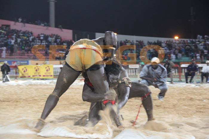 Boy Niang Bat Garga Mbosse (1)