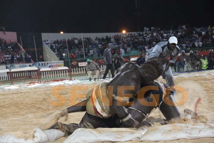 Boy Niang Bat Garga Mbosse (10)