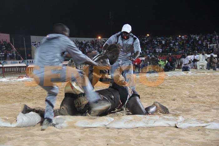 Boy Niang Bat Garga Mbosse (12)