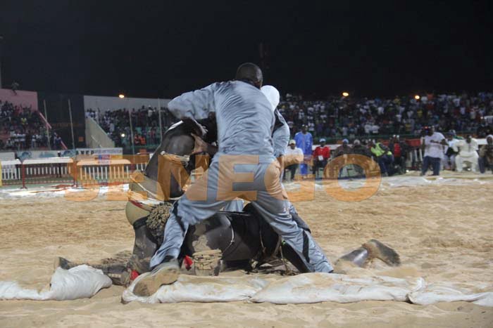 Boy Niang Bat Garga Mbosse (13)