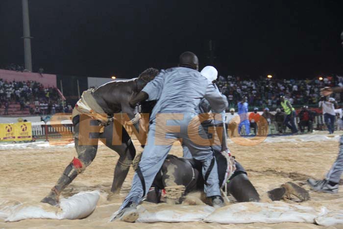 Boy Niang Bat Garga Mbosse (16)