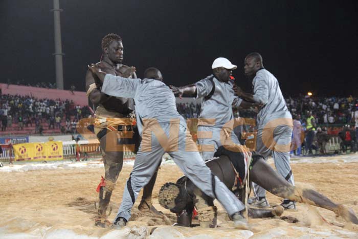 Boy Niang Bat Garga Mbosse (17)