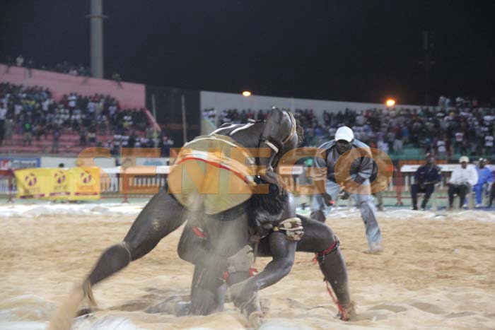Boy Niang Bat Garga Mbosse (3)