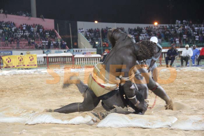 Boy Niang Bat Garga Mbosse (4)
