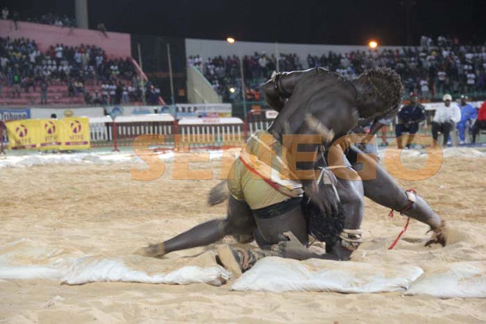 Boy Niang Bat Garga Mbosse (5)