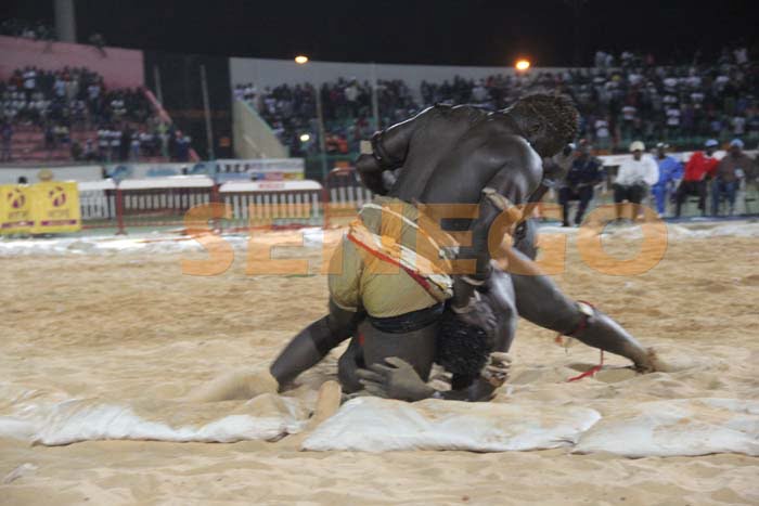 Boy Niang Bat Garga Mbosse (6)