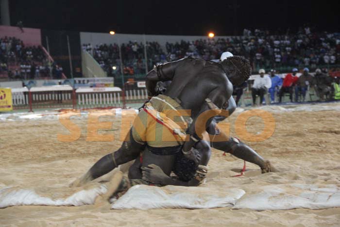 Boy Niang Bat Garga Mbosse (7)