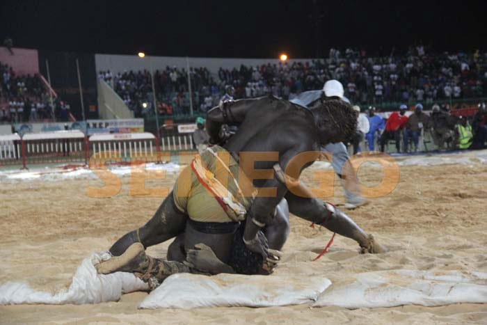 Boy Niang Bat Garga Mbosse (8)