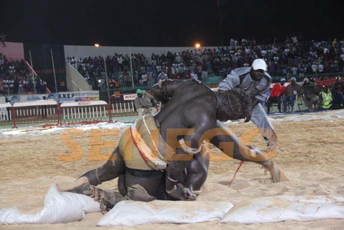 Boy Niang Bat Garga Mbosse (9)
