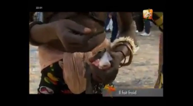 Vidéo: image du jour Bantamba Du 29 Mars 2016