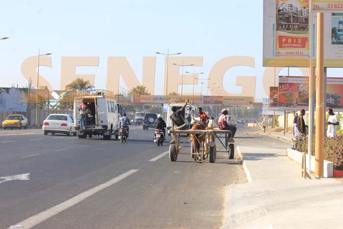 Inauguration prochaine de la route Keur Waly Ndiaye – Sokhone