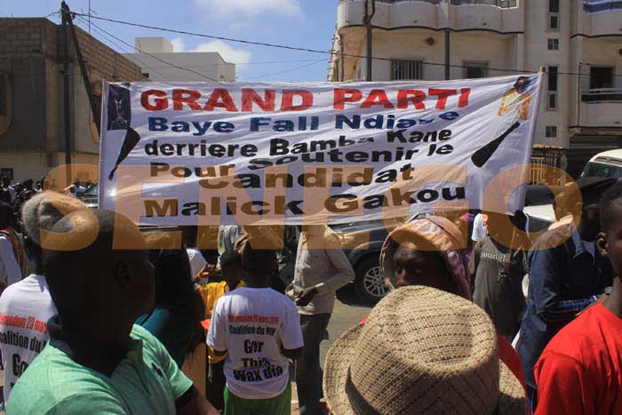 Coallition NON (15)