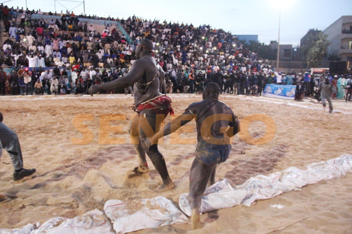 El ton bat Tyson 2 (11)