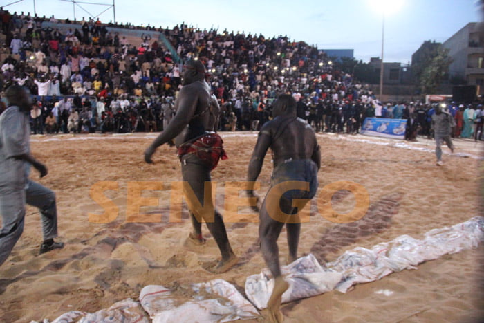 El ton bat Tyson 2 (13)