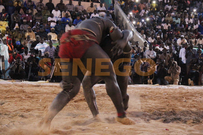 El ton bat Tyson 2 (3)