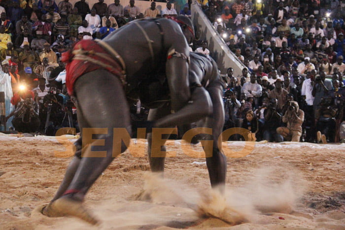 El ton bat Tyson 2 (4)