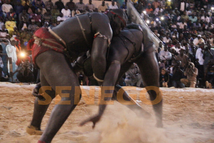 El ton bat Tyson 2 (5)