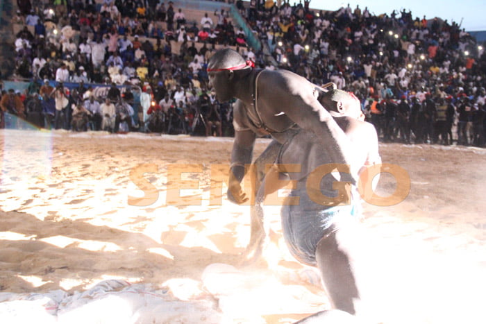 El ton bat Tyson 2 (7)