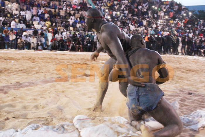 Senego TV: Elton limite les ambitions de Tyson 2, Regardez: