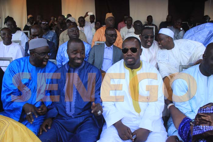 Serigne Fallou Mbacké et ses amis transitaires votent « Oui »