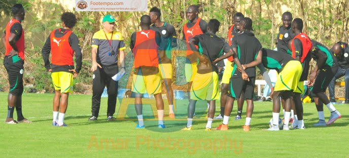 Vidéo: Première séance d&rsquo;entrainement des Lions, préparatifs contre le Niger…