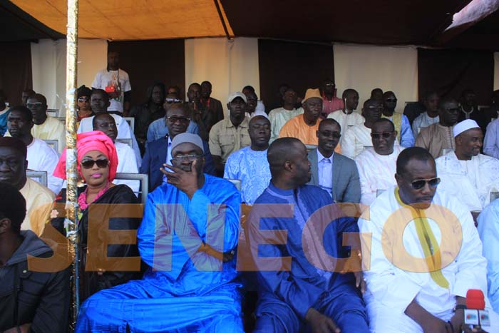 serigne fallou mbacké transitaire (1)
