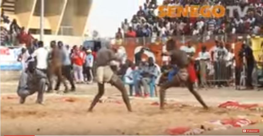 Senego TV: Des Combats préliminaires époustouflants, Regardez: