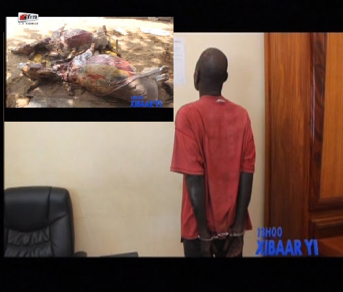 Vidéo-Abattage d’ânes sur le site du technopole : Un individu arrêté, 4 sont en fuite…Regardez
