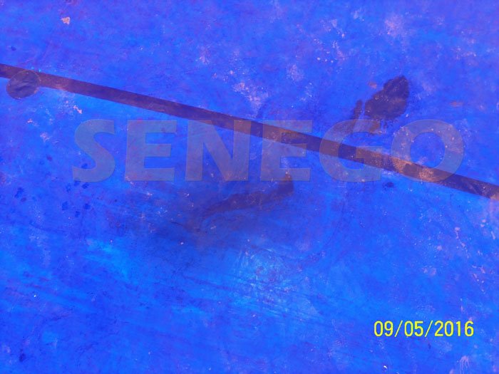 Apparition poissons (1)