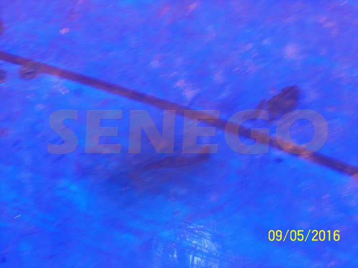 Apparition poissons (4)