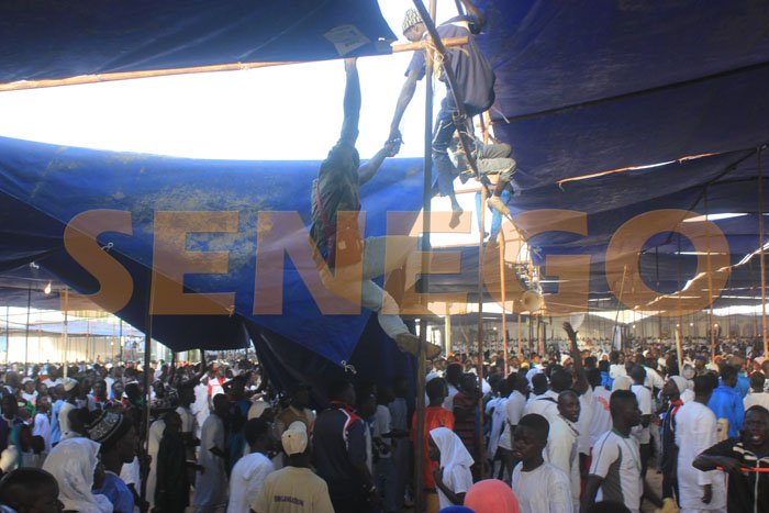 Apparition sur les baches (11)