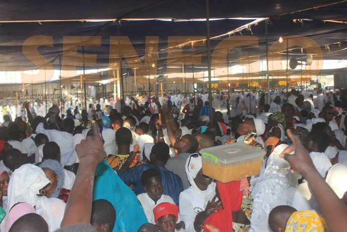 Apparition sur les baches (5)