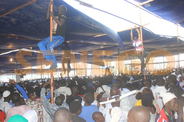 Apparition sur les baches (8)