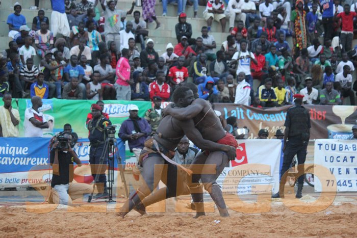 Feu-rouge-ameth-deme (10)