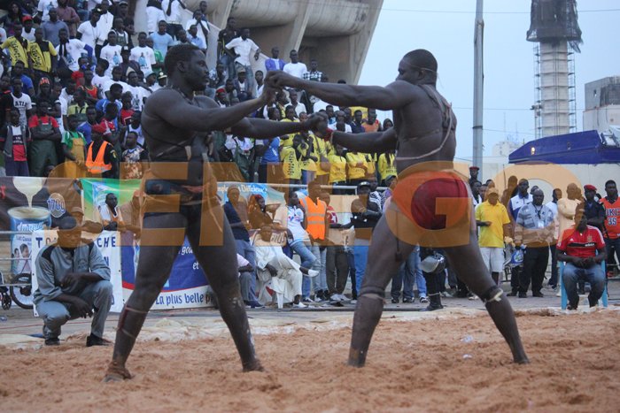 Feu-rouge-ameth-deme (6)