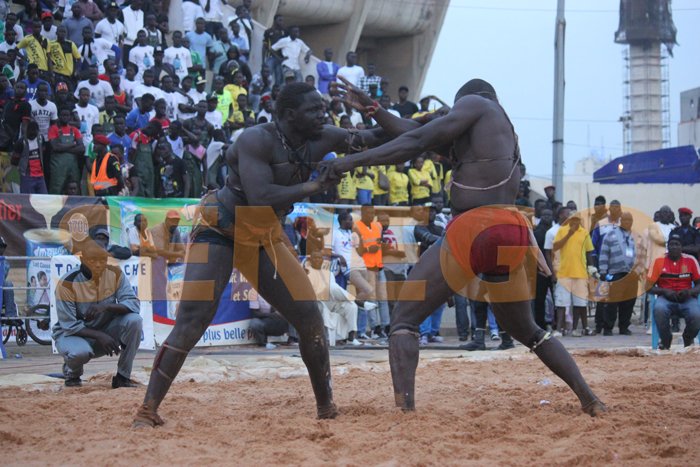Feu-rouge-ameth-deme (7)