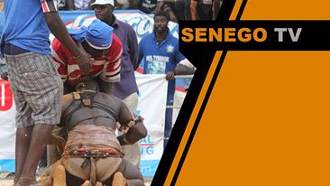 Senego TV: Best OFF Papa Boy Djinné, Clé Mansour, Mama Lamine, Feu Rouge…