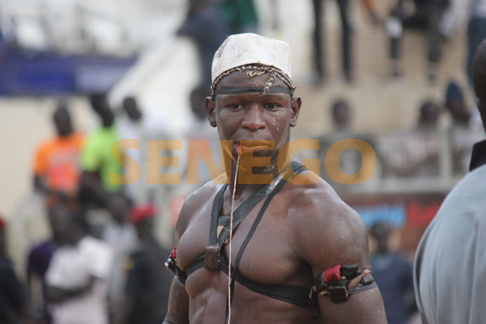 Papa boye Djine-combat-drapeau-aba_7306