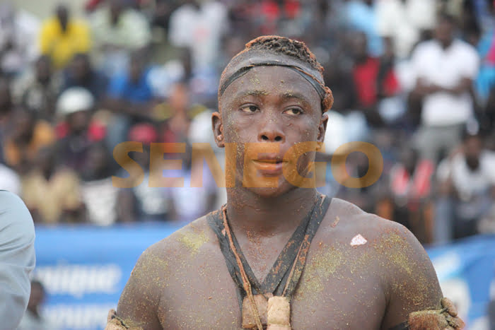 Papa Boy Djiné : Le mari de Ndèye Guèye s’enfonce après une nouvelle défaite contre Tapha Guèye 2 (Vidéo)