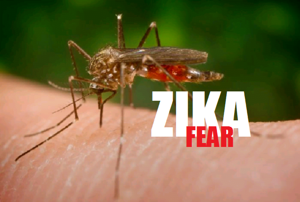 Alerte : Le virus Zika signalé en Afrique dans un pays proche du Sénégal…
