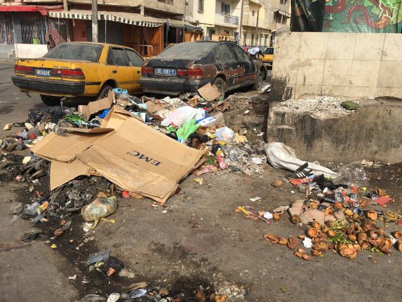 13390923_10206720681551926_1831337054_n