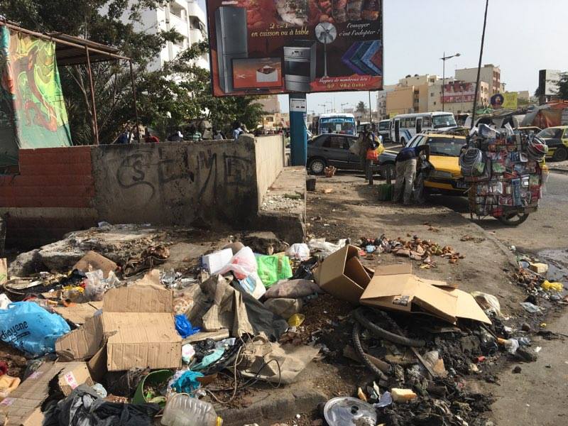 13391029_10206720680231893_58986332_n